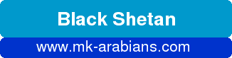 Black Shetan